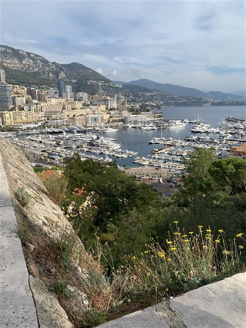 Monte-Carlo