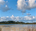 Waddeneilanden