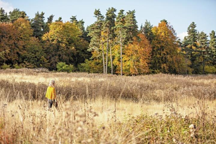 5 jours Instants d'Absolu - Ecolodge & Spa***