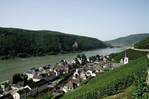 Rheinhôtel Lamm